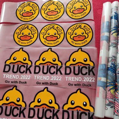 Double side Paper Pet Film Sheet Roll For Digital Dtf Heat Transfer Printing